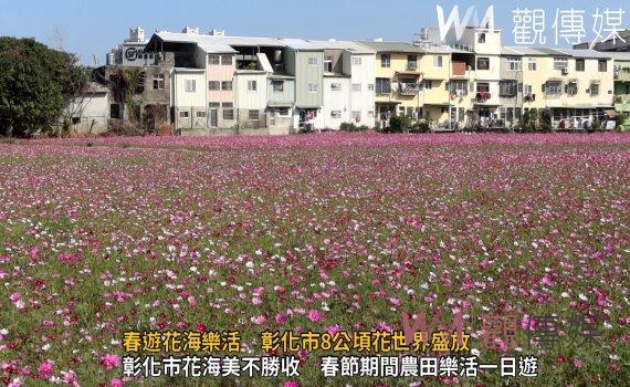 (有影片)/彰化市打造8公頃賞花勝地!林世賢邀您參與彰化市花花世界