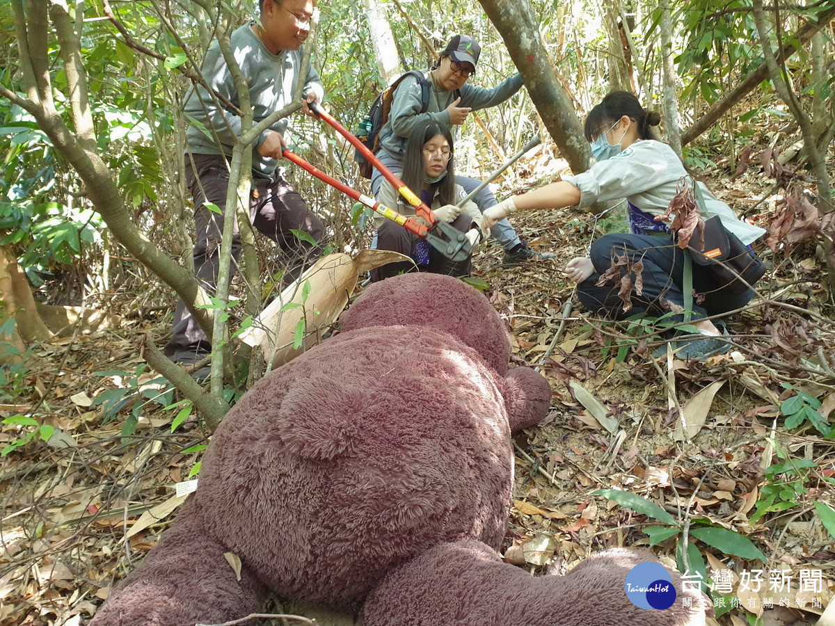 模擬黑熊救傷現場，以破壞剪拆除陷阱套索。（圖/林業保育署南投分署提供）