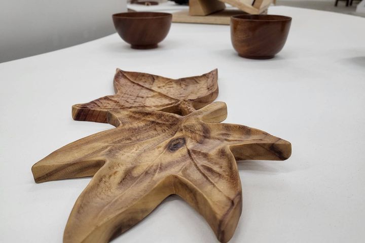東勢《入境山林》探索森林島嶼特展 林業史結合木創呈現永續生活創意