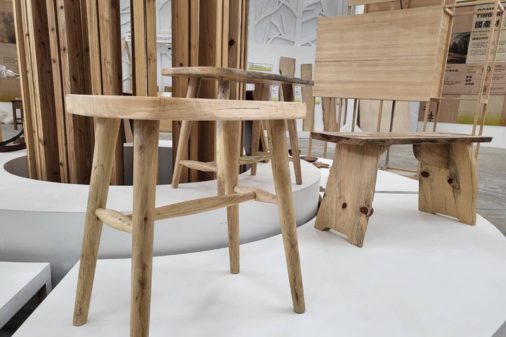 東勢《入境山林》探索森林島嶼特展 林業史結合木創呈現永續生活創意