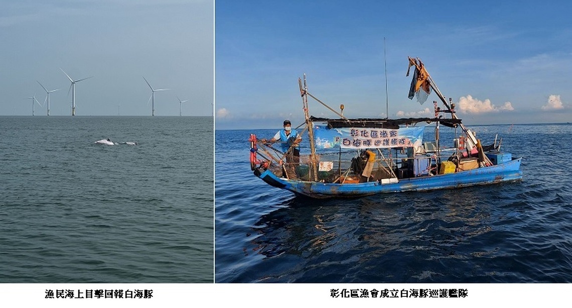 海保署連結在地漁民 共同守護白海豚