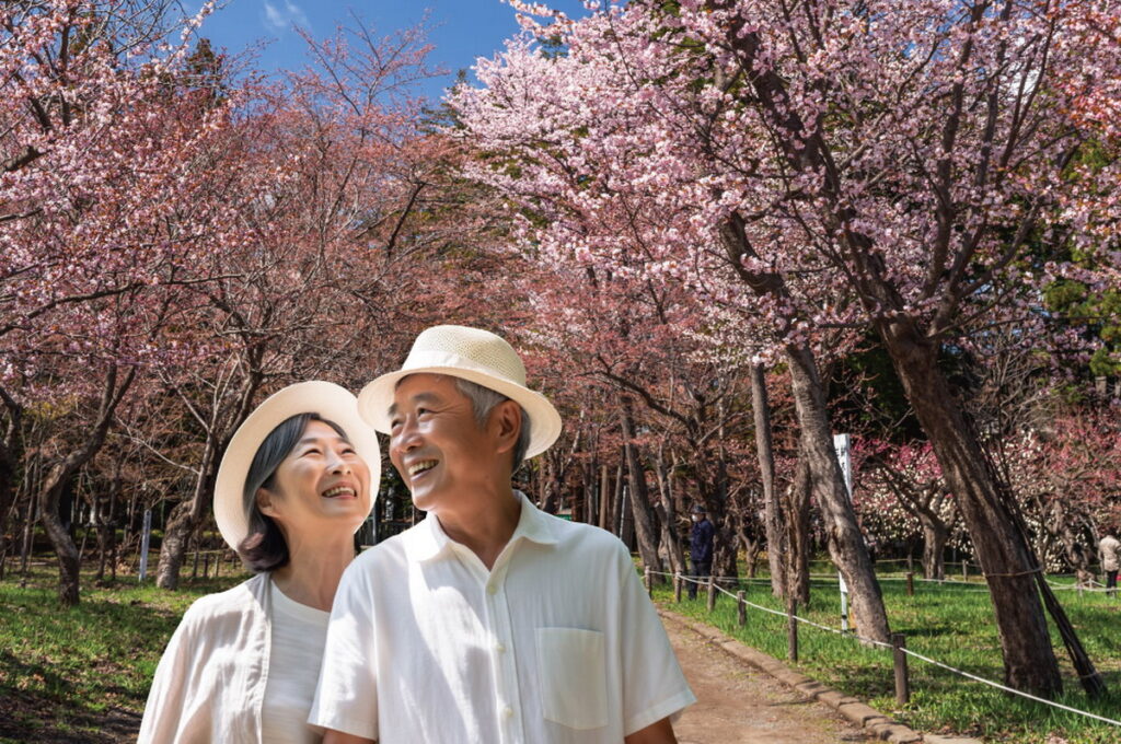 多扶假期4月推樂齡樂遊5天4夜北海道賞櫻