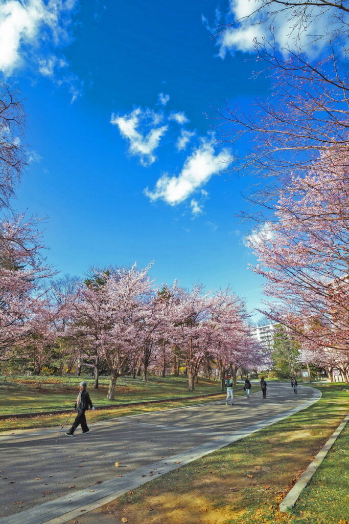 多扶假期4月樂齡樂遊5天4夜北海道賞櫻必去景點-中島公園