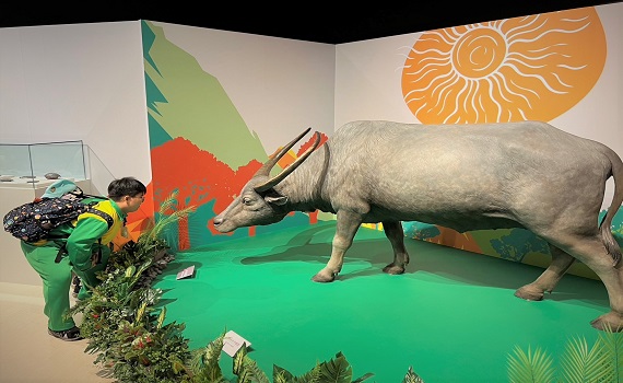 「臺灣史前動物特展」開展 十三行博物館呈現萬年臺灣生態史