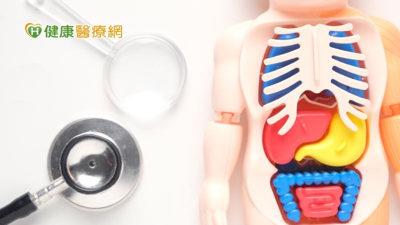 「這4癌」無有效癌症篩檢實證!胰臟癌也是其一 如何及早發現就醫診治?