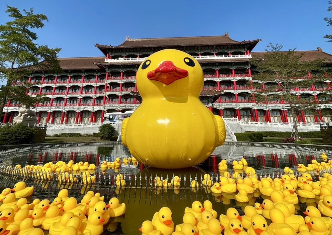 圓山鴨.龍重登場 新年走春.歡迎來~圓山賞鴨、吃鴨、來「紓鴨」