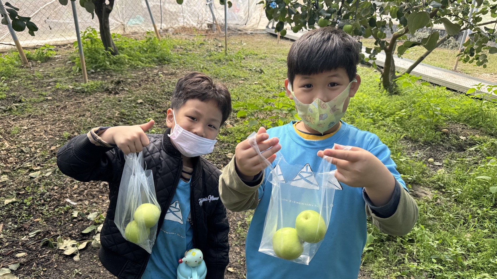 ▲八卦山上的特色小學文德國小結業式的這一天，結合芬園鄉農會食農教育體驗的活動，帶領全校師生一起到在地的60度幸福農場來採雪蜜棗。（記者張溎壕攝）