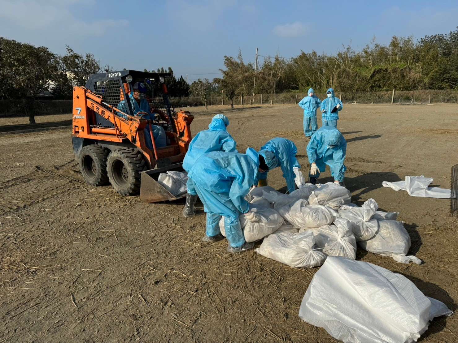 雲林爆H5N1禽流感撲殺1477隻肉鵝 縣府加強區域清潔及環境消毒