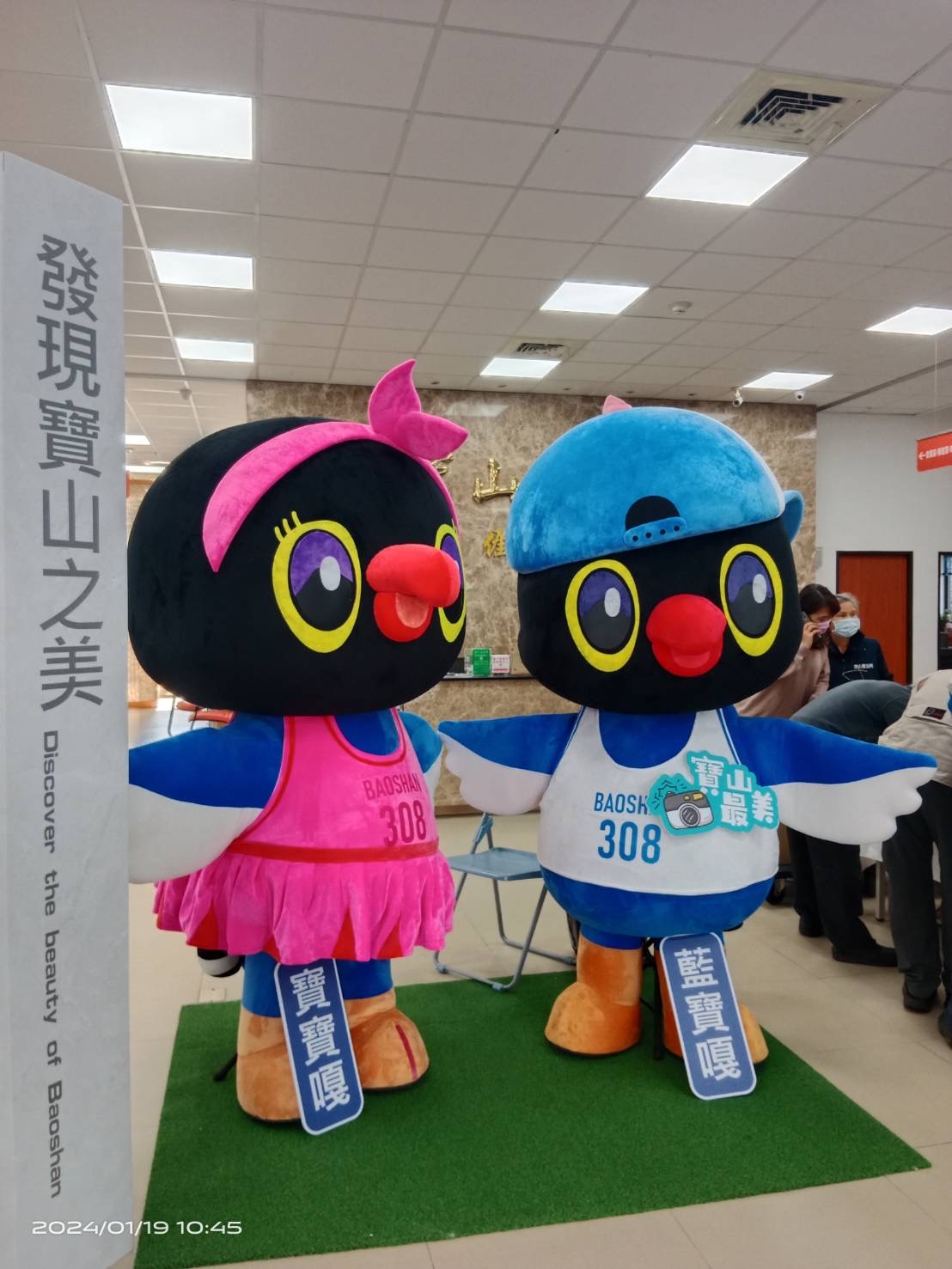 「寶山鄉吉祥物甄選」活動,票選出以台灣藍鵲為原型的「藍寶嘎」與「寶寶嘎」。(圖/記者黃溎芬攝)