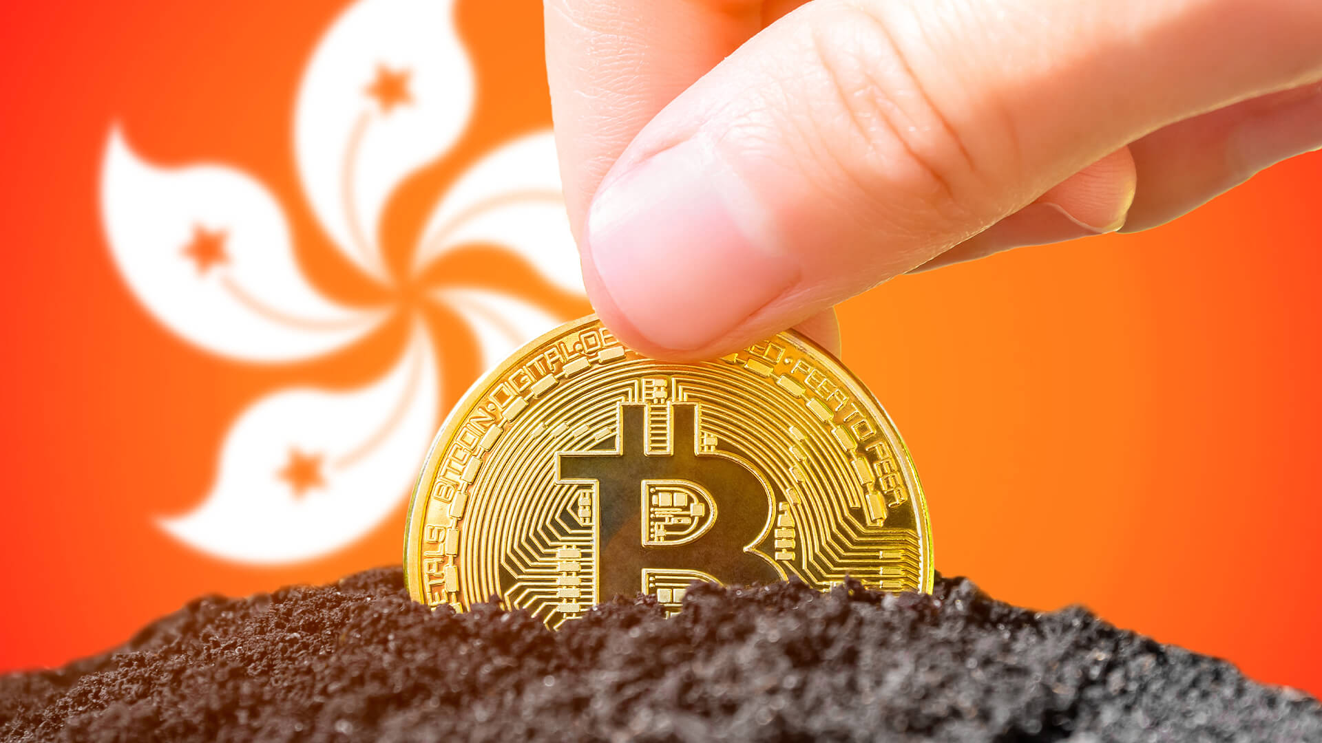 港版比特幣現貨ETF 來了？「意博金融」擬遞交申請、爭取Q1 推出