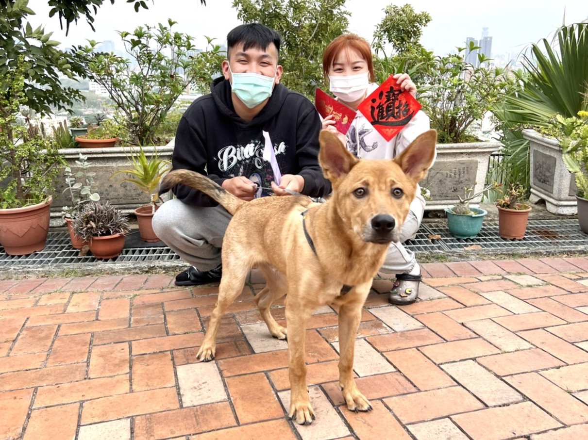 ▲高市動保處創意春聯,壽山動保教育園區充喜氣(圖農業局提供)