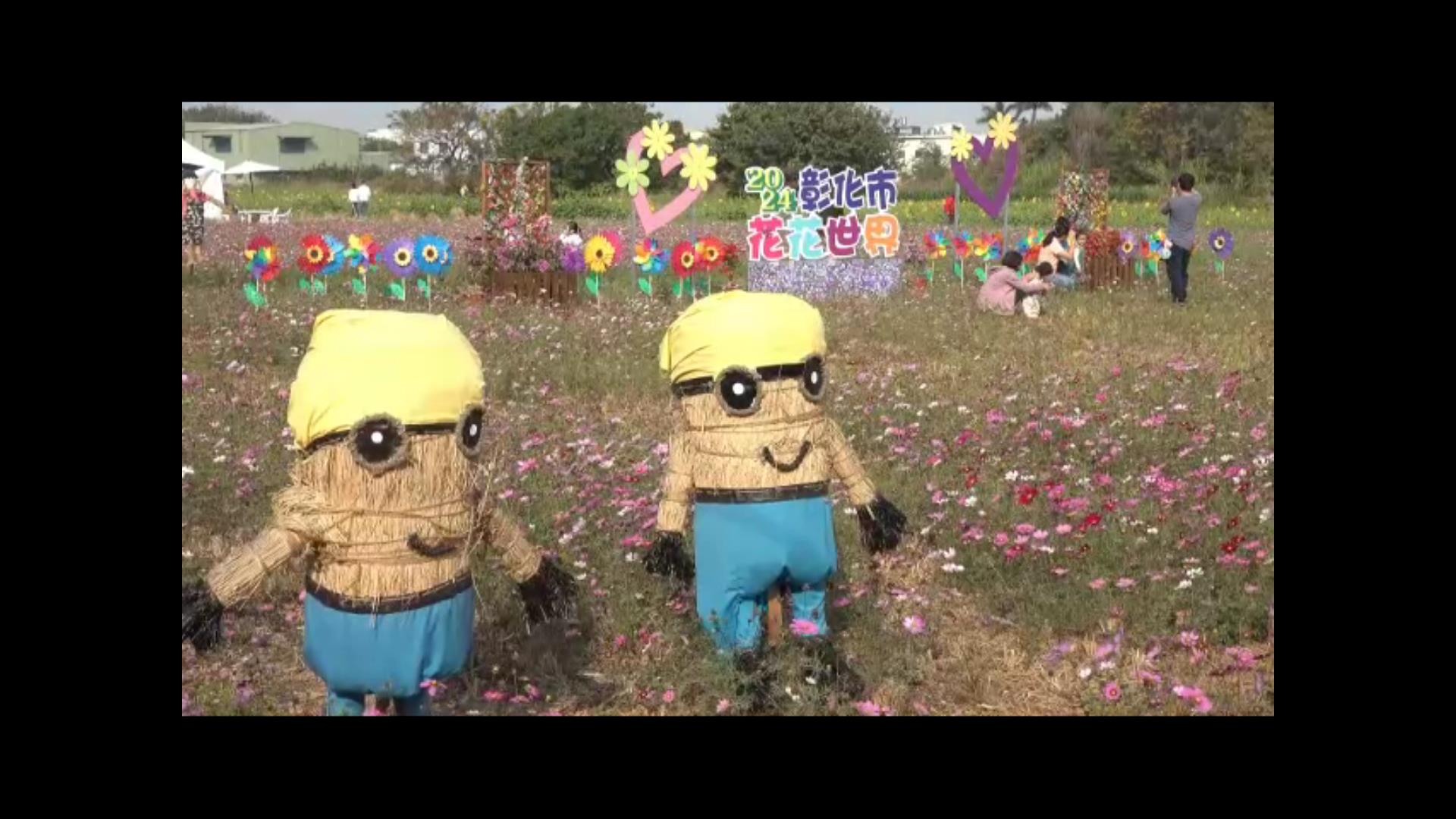 ▲為提供民眾春遊賞花的好去處，彰化市公所結合在地農友，齊心種植多色波斯菊、向日葵，打造8公頃多的遼闊花海，歡迎全省各地的民眾前來感受花開正好的浪漫氛圍。（記者張溎壕攝）