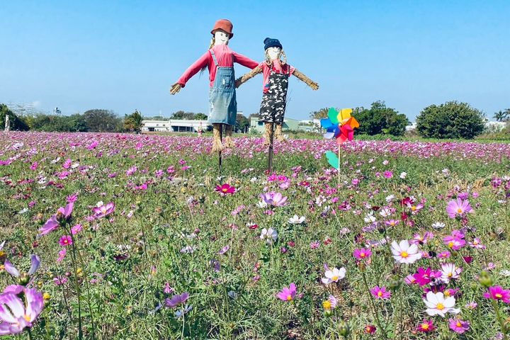 萌萌的稻草人。 圖:參山國家風景區管理處/提供