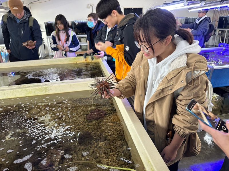 東北角寒假旅遊限定 貢寮看九孔寶寶嗑海鮮!