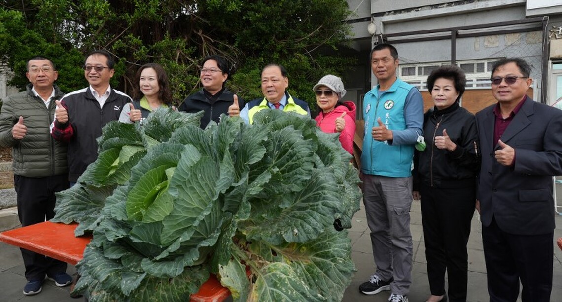 2024我尚重、大、水   澎湖新高麗菜王比賽熱鬧登場 陳光復到場加油打氣