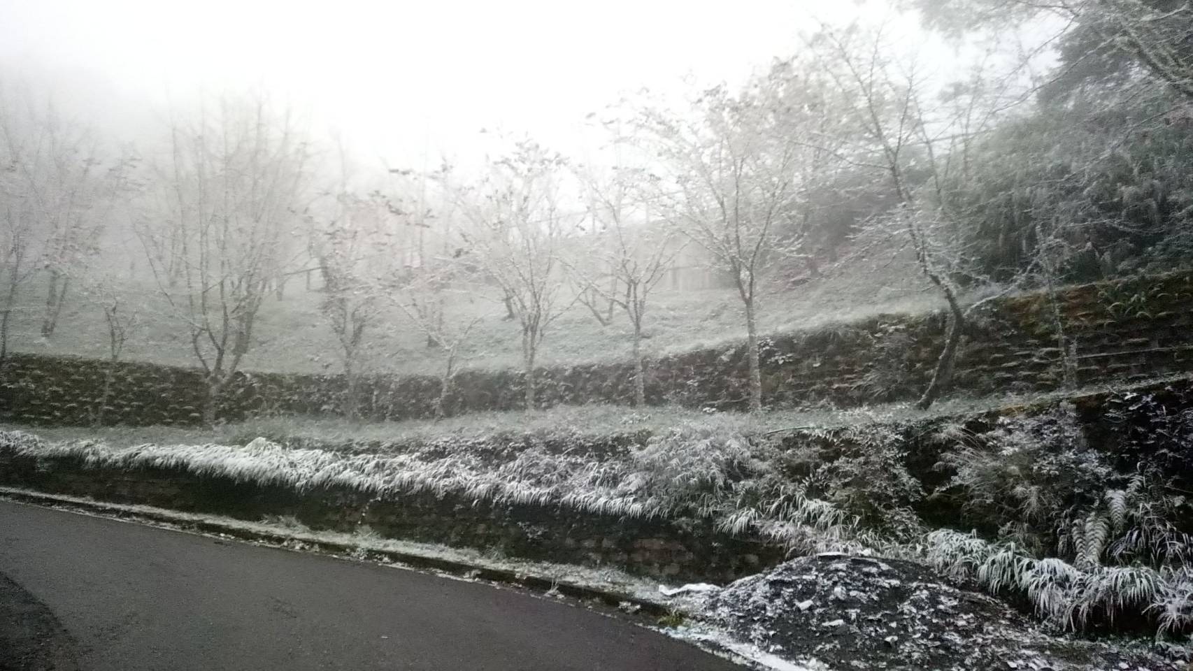 因應低溫特報　陽明山區若下雪將啟動交通管制