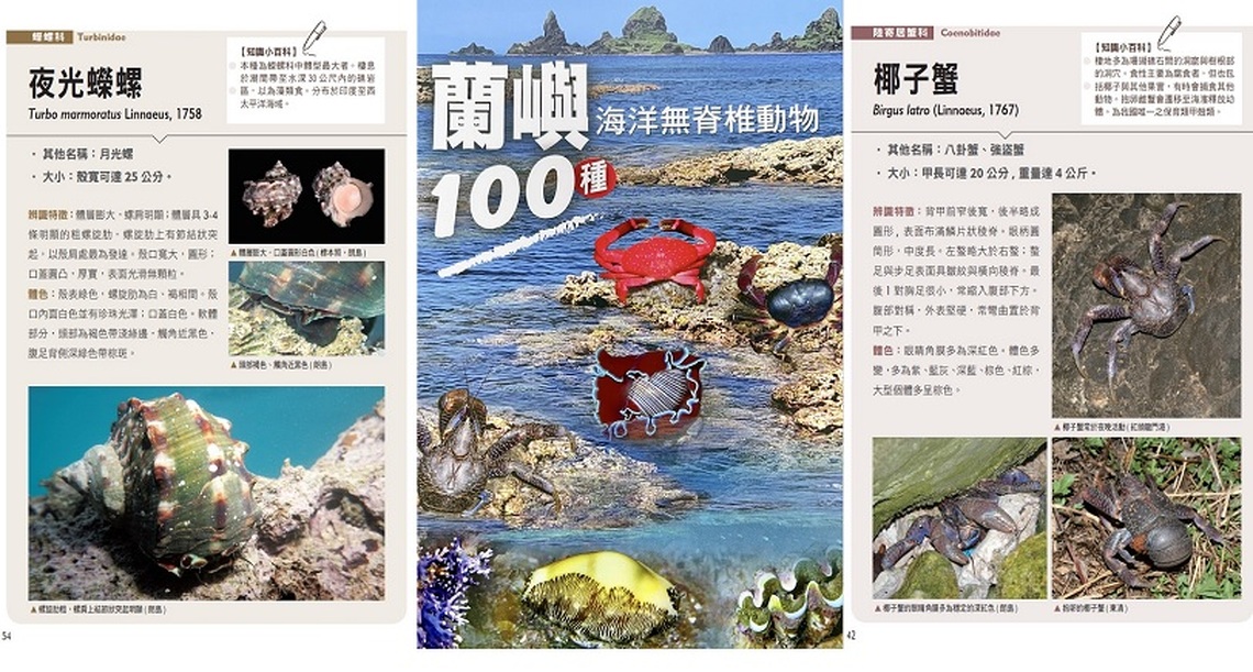 百種蘭嶼海洋無脊椎動物新書上市囉!