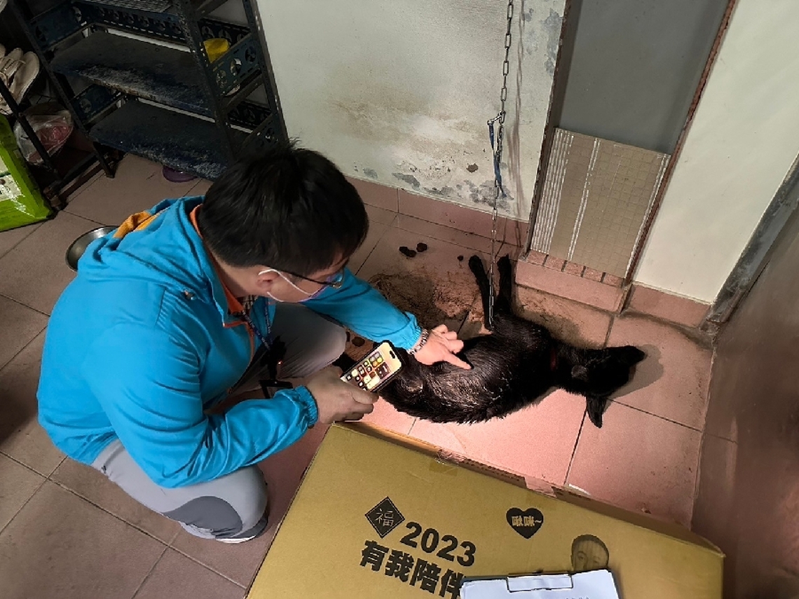 未妥善照顧犬隻致死 飼主遭嘉義縣家畜疾病防治所法辦