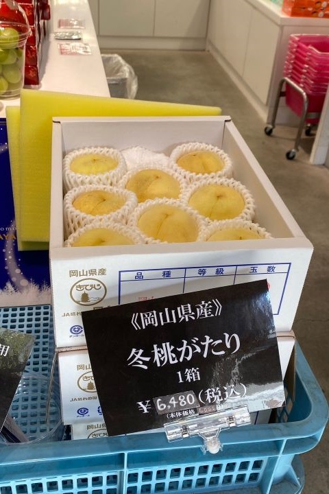 冬天也有水蜜桃？水鄉老街倉敷品嚐稀有「冬桃物語」