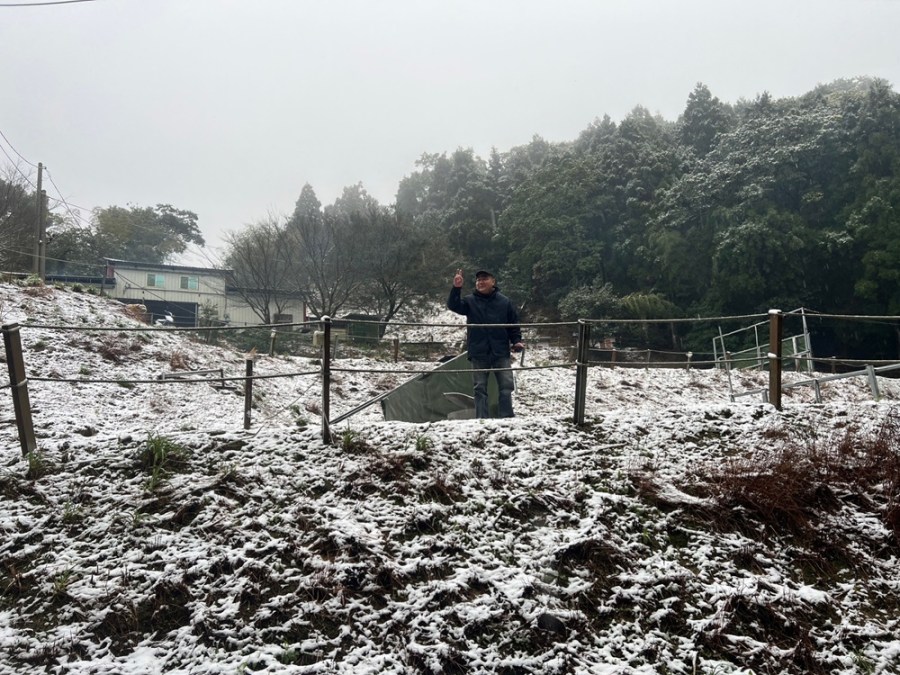 新北熊空地區農場飄雪 賞雪維安警啟動交管 240 cnews204240123a02