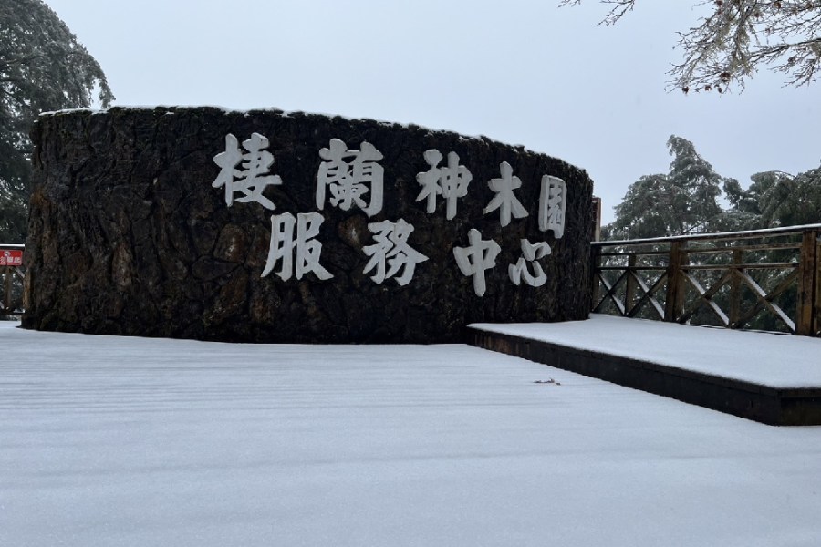 彷彿置身北歐!力麗馬告生態園區積雪宛若仙境 236 彷彿置身北歐!力麗馬告生態園區積雪宛若仙境 235
