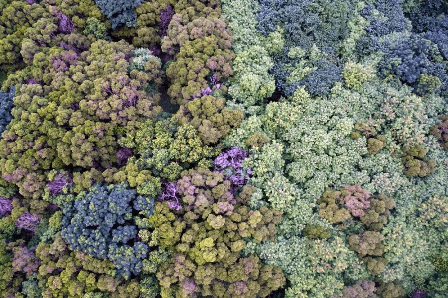 8成台糖農地地上權圖利廠商?陳椒華揭東大科技產業園區貓膩 225 照片來源:陳椒華