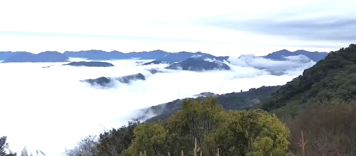 寒流來襲 那瑪夏雲海蔚為視覺勝景