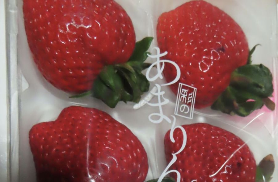 日本「草莓」未來不再卡海關! 食藥署預告放寬4種禁用農藥 230 日本「草莓」未來不再卡海關! 食藥署預告放寬4種禁用農藥 229