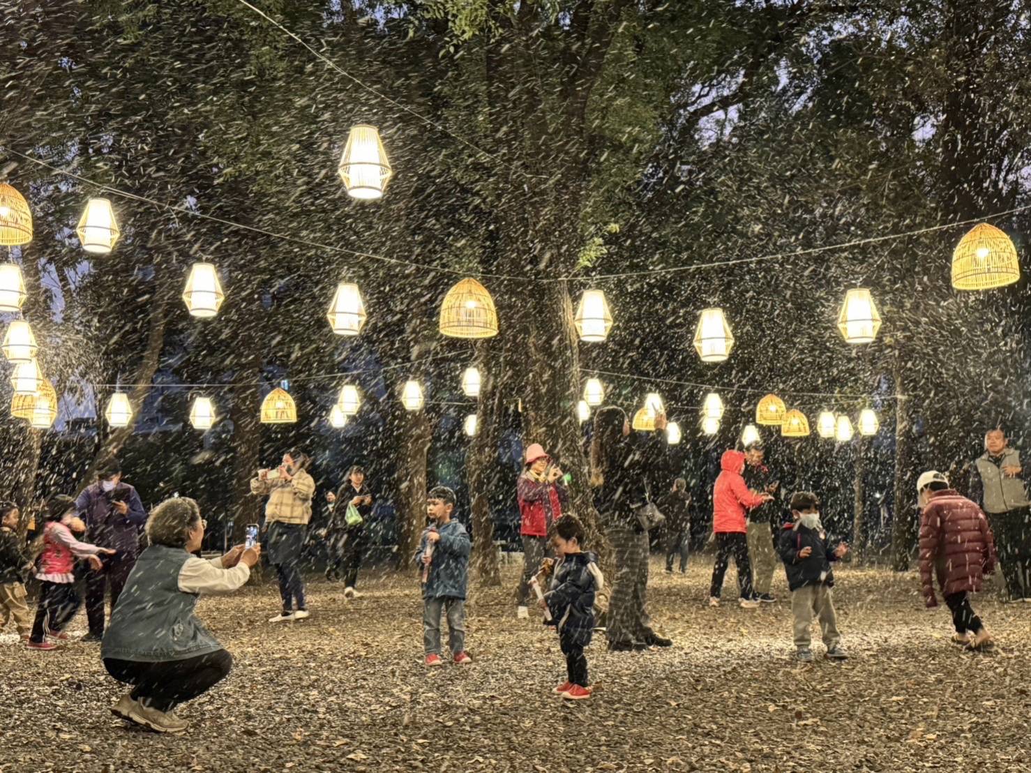 寒流限定！屏東燈節下雪了　萬年溪燈區變身夢幻雪國