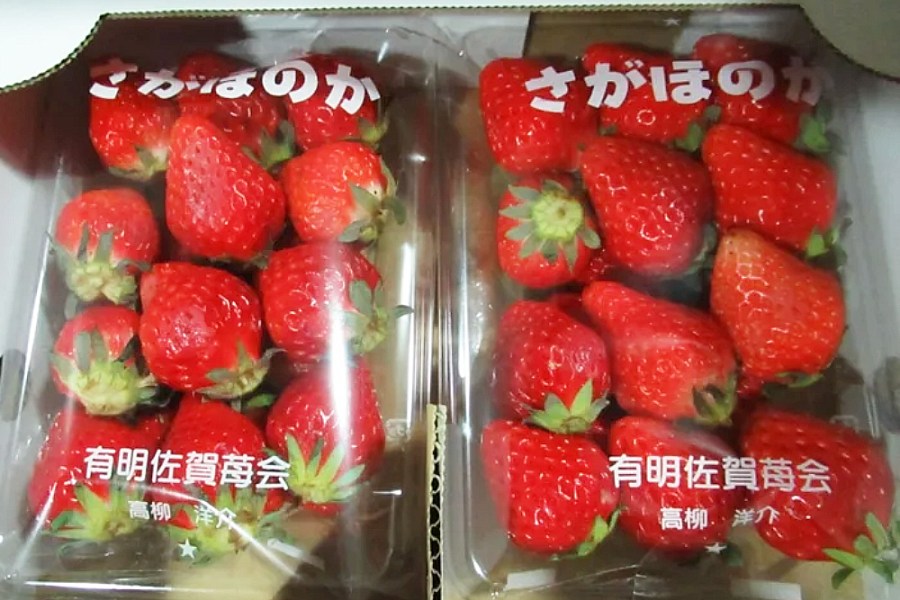草莓用藥台日雙標? 食藥署欲放寬 馬文君:對台農民不公平 216 草莓用藥台日雙標? 食藥署欲放寬 馬文君:對台農民不公平 215