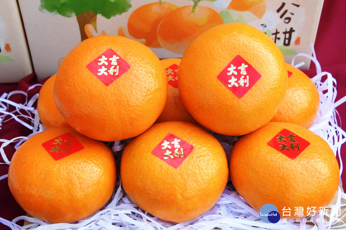 花壇鄉的蔬菜、水果都有很好的成效,還有茂谷柑、西施柚等,彰化優鮮。圖/記者鄧富珍攝