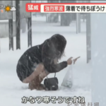 翻攝自X