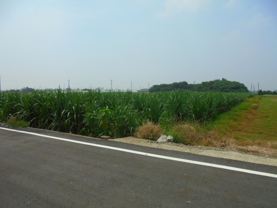 酒駕男積欠12萬5000餘元罰鍰 將拍賣價值逾131萬元的持分土地 197 cnews204240126a08