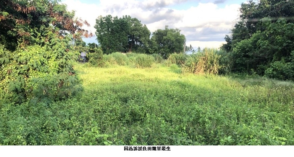覬覦祭祀公業土地 最高法院明察秋毫