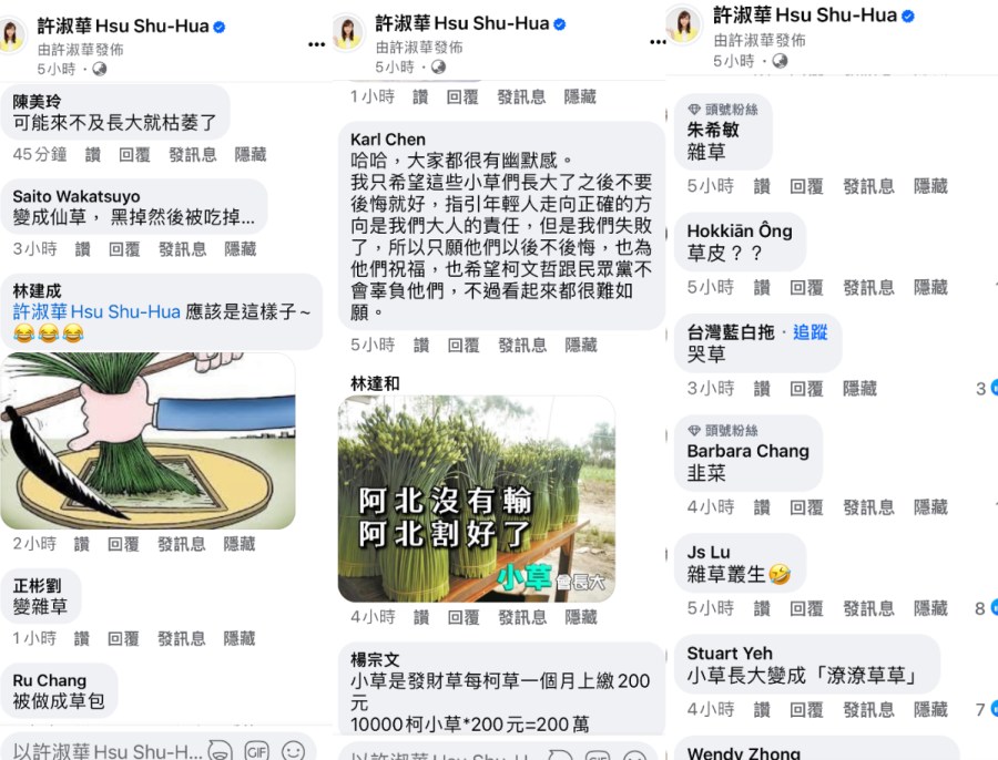 許淑華戴髮箍問小草長大變什麼？網友暗酸民眾黨：牆頭草左右搖擺 211