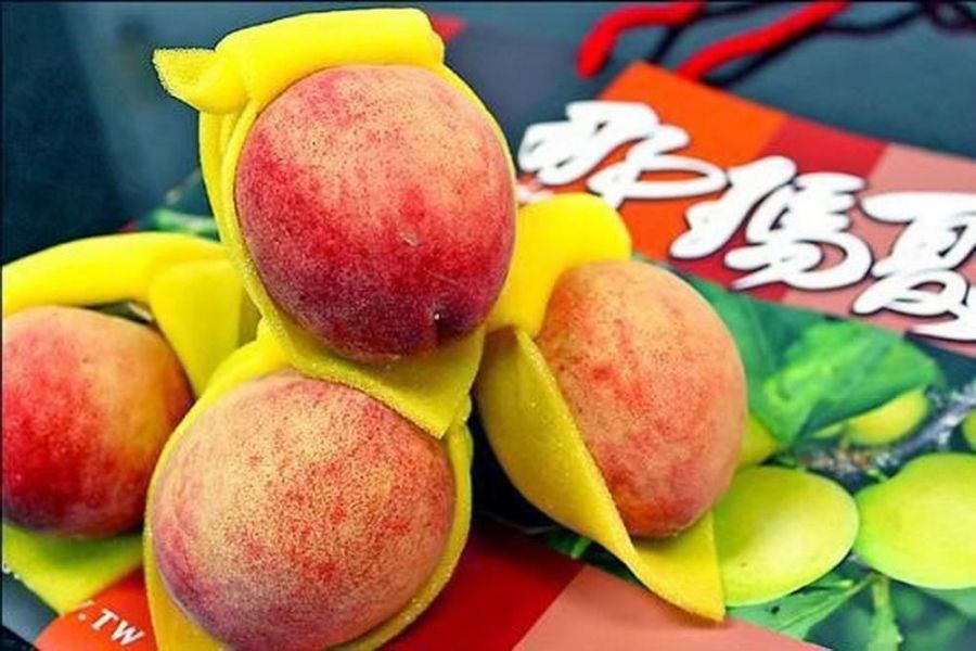 最美麗的花園那瑪夏 生態體驗魅力無窮