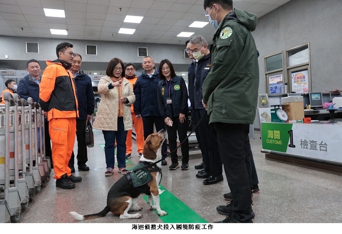 視察金門小三通 管碧玲:海巡署春節強化四大勤務,全力圍堵非洲豬瘟