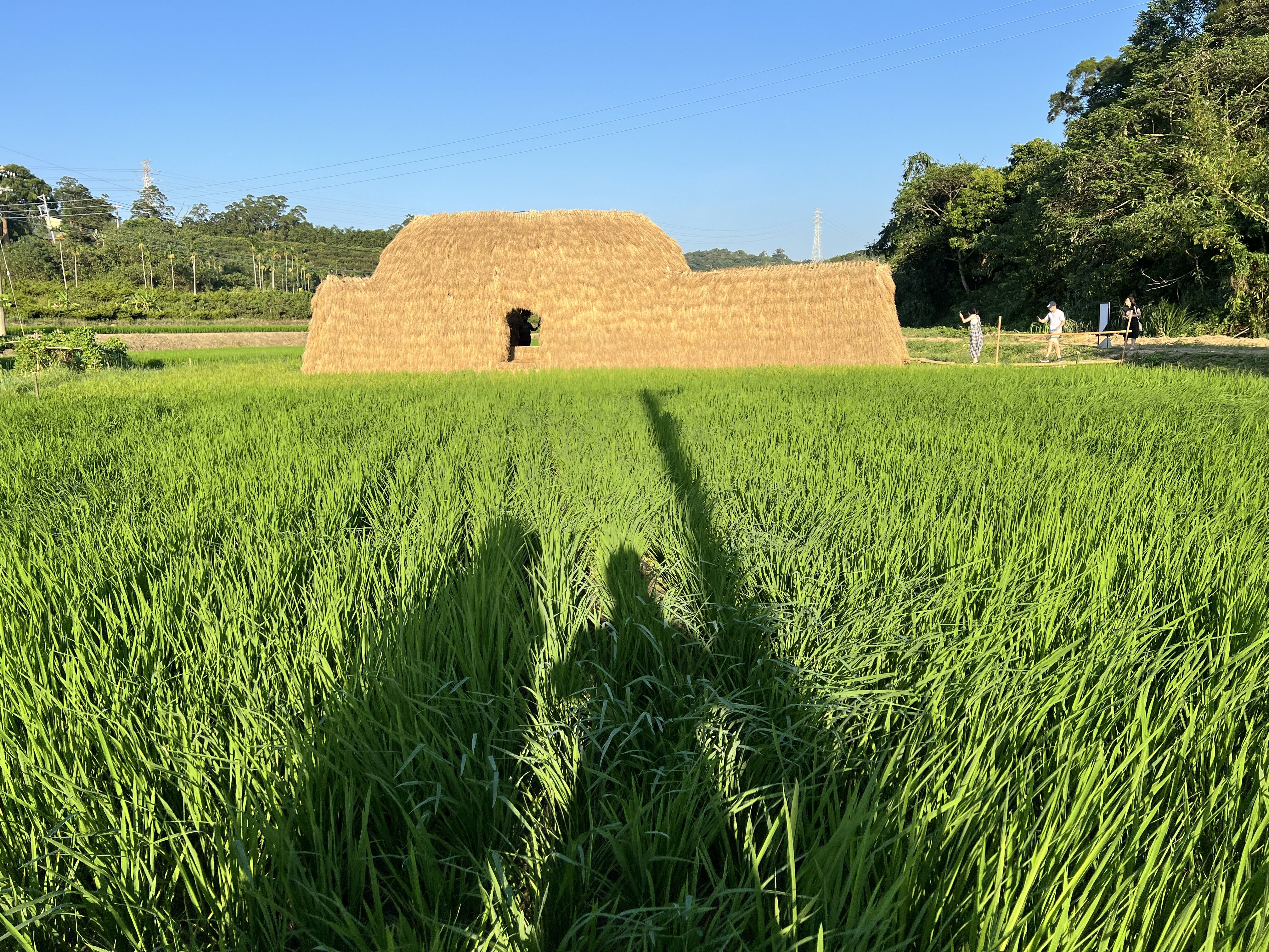 竹市金牌農村出爐 茄苳社區角逐全國決賽