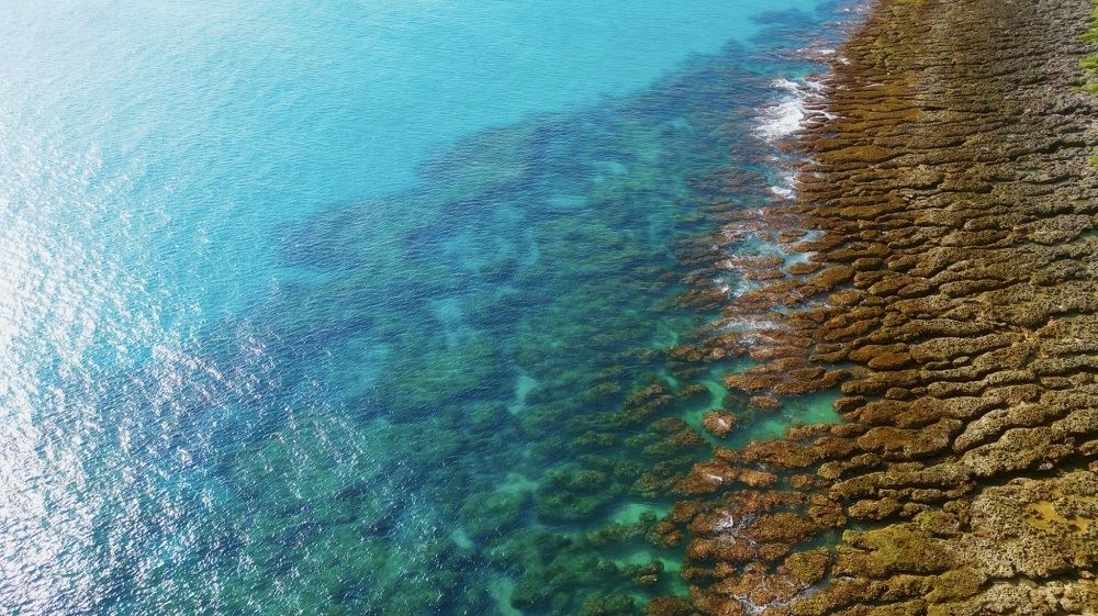 「屏東多向度」榮膺坎城最佳旅遊影片 國境之南美景躍上國際