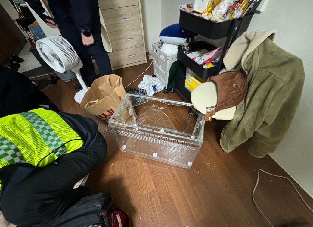 ▲圖說:可愛倉鼠暴衝闖禍,玻璃容器掉落地面,玻璃碎片刺入飼主古女腳掌 (圖/台中市政府提供)