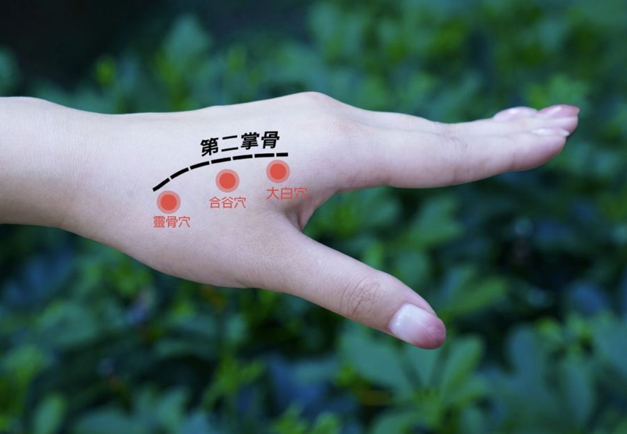 過年大掃除「肩、頸、腰」好痠痛! 中醫教你按對「三穴位」快速緩解 254 過年大掃除「肩、頸、腰」好痠痛! 中醫教你按對「三穴位」快速緩解 253