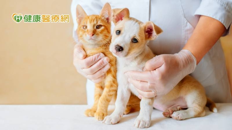 迎接農曆新年 寵物飼主過年必收藏