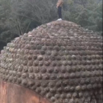 樂山大佛 撒尿