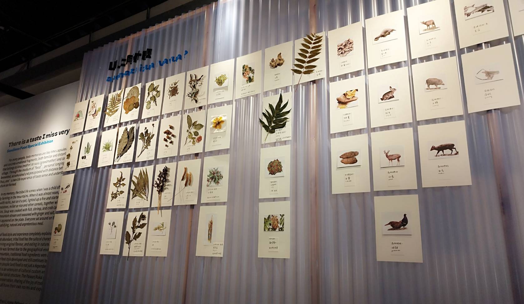 三地門鄉飲食特展《有一種味道我很想念》   即日起至5/31盛邀民眾參觀