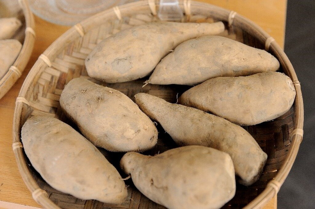 甘藷口感鬆軟肉質,豐富營養為家人健康加分