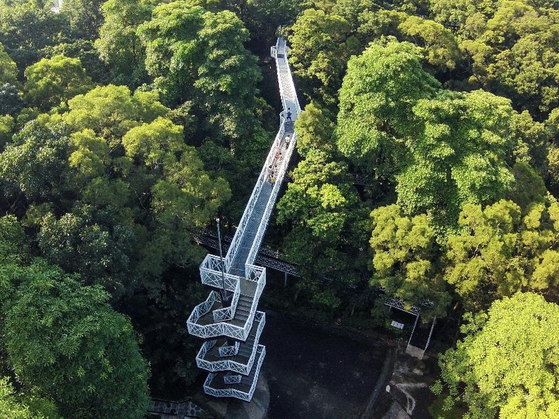 「春遊嘉鄉-步步高升之旅」嘉義縣文化觀光局推薦山林漫步之旅