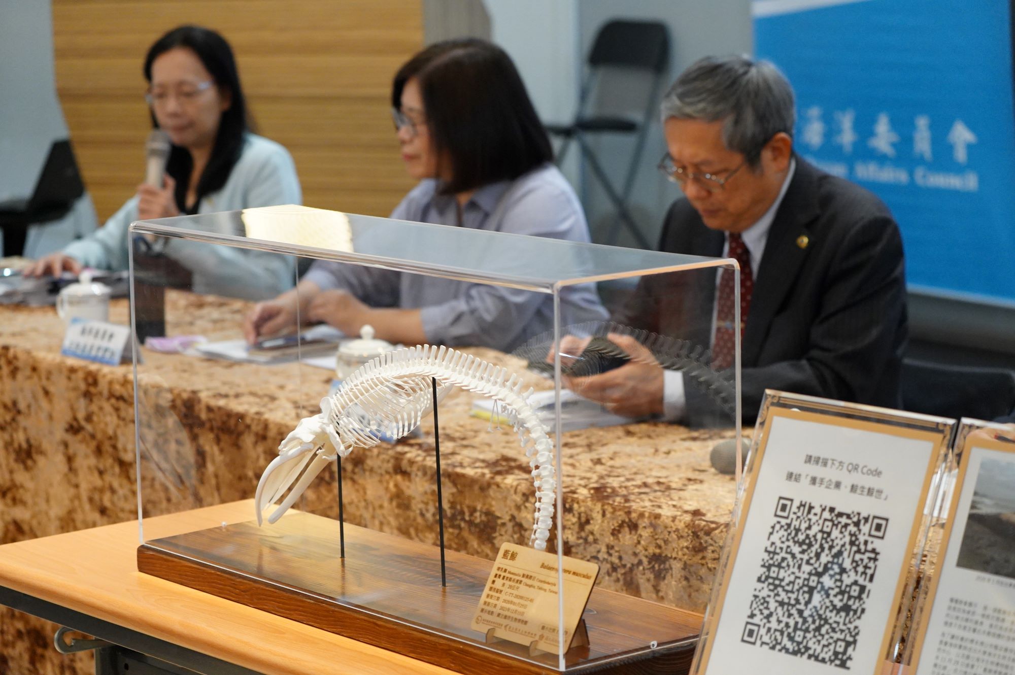 ▲記者會現場展出藍鯨標本3D列印模型。（圖／海委會提供）