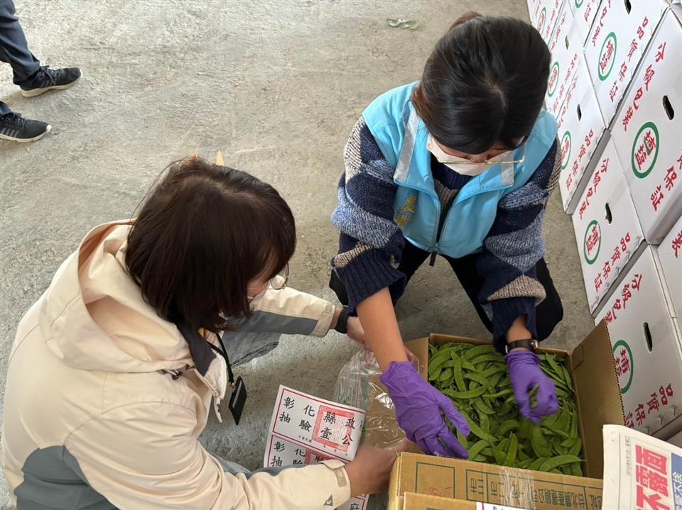 ▲為確保農曆年期間消費者能夠安心享用高品質、安全的蔬果，彰化縣政府自1月9日起至2月8日止，擴大至各大果菜批發市場、集貨場、合作社及田間進行農作物農藥殘留抽查。（彰化縣政府提供）
