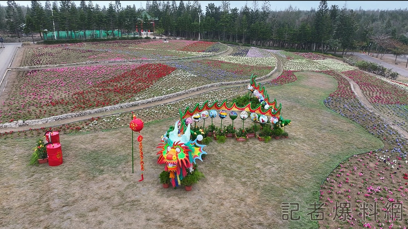 澎湖,花海,走春,休憩園區