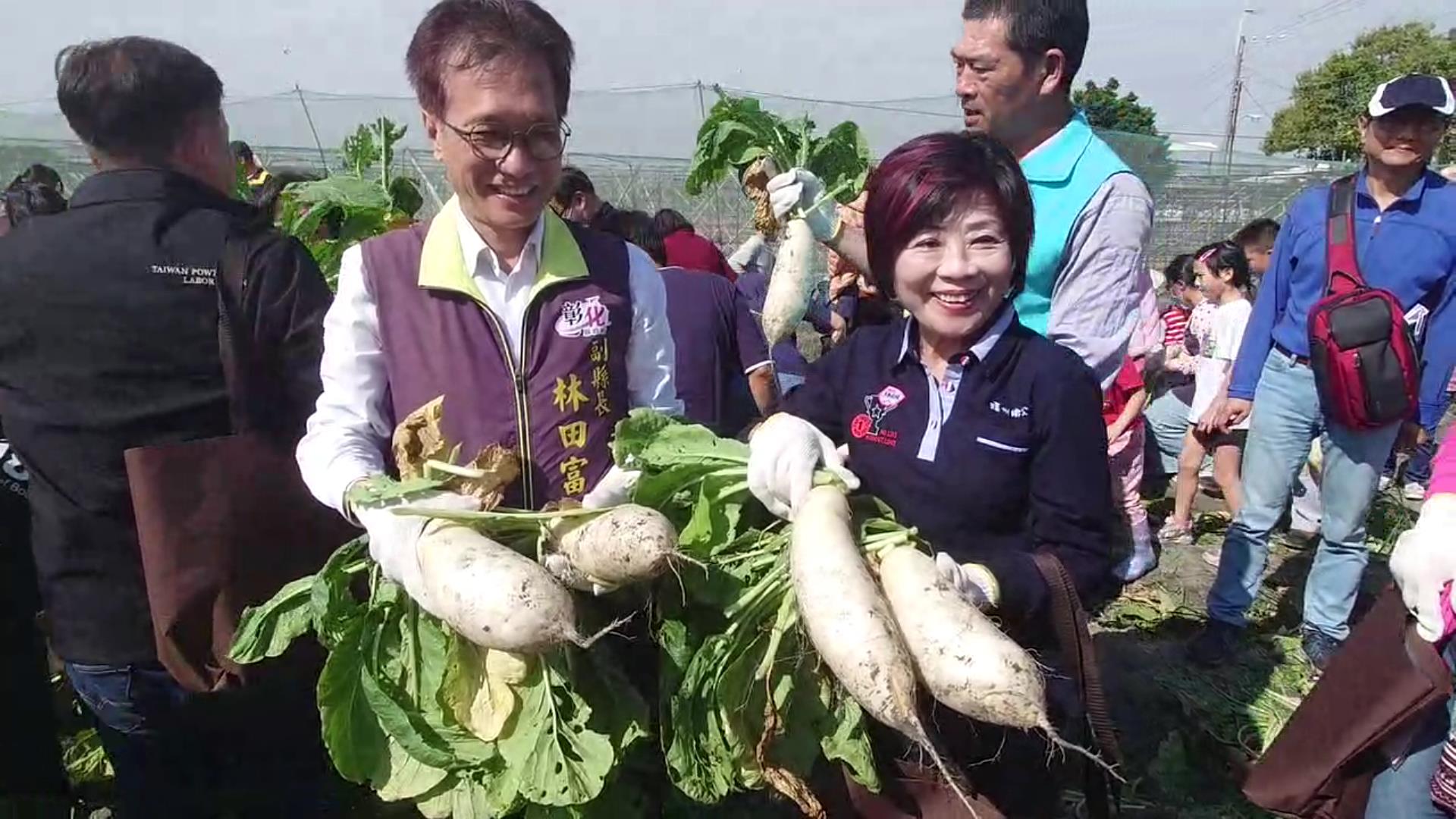 ▲台電彰化區營業處舉辦千人拔蘿蔔活動，參加人員扶老攜幼健行田野間體驗拔蘿蔔的樂趣。（記者張溎壕攝）